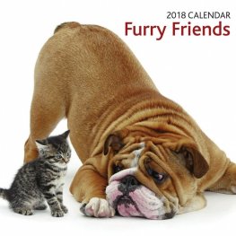 Calendar 2018: Furry Friends
