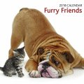 Calendar 2018: Furry Friends