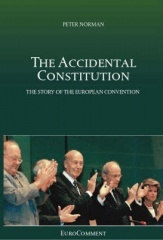 The Accidental Constitution