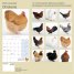 Calendar 2018: Chickens