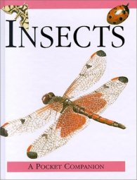 A Pocket Companion Insects/20703147