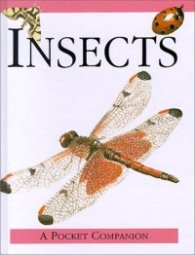 A Pocket Companion Insects/20703147