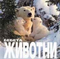 Бебета Животни