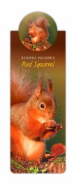 Разделител с диви животни - катерица