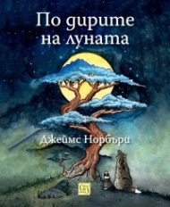 По дирите на луната