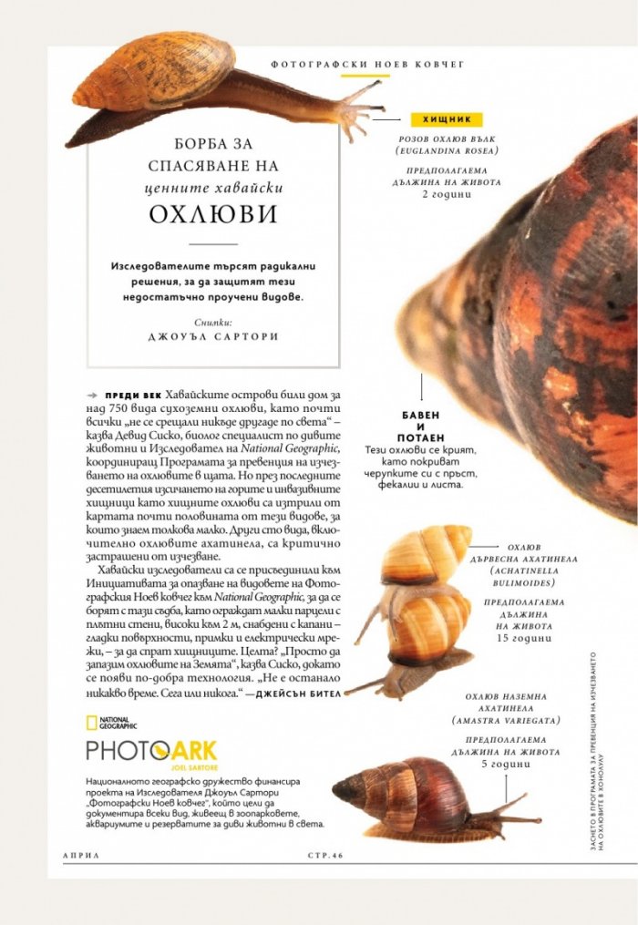 National Geographic България Април/2025