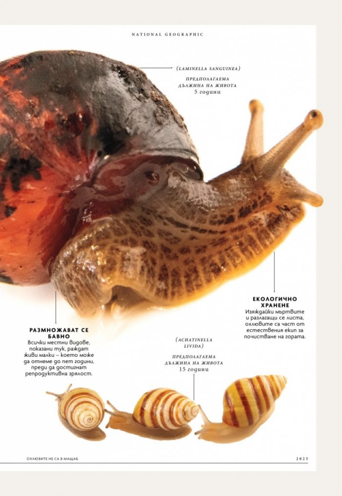 National Geographic България Април/2025