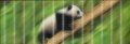 Разделител за книга Panda Bookmark [0436]