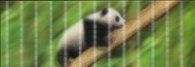 Разделител за книга Panda Bookmark [0436]