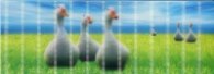 Разделител за книга Geese Bookmark [0597]