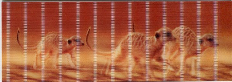 Разделител за книга Meerkats Bookmark [0559]