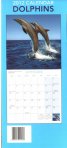 Calendar 2012: Dolphins