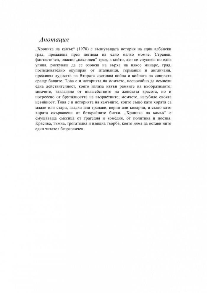 Хроника на камък