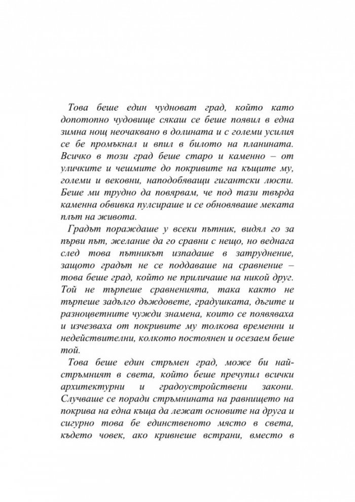 Хроника на камък