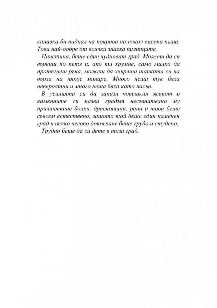 Хроника на камък