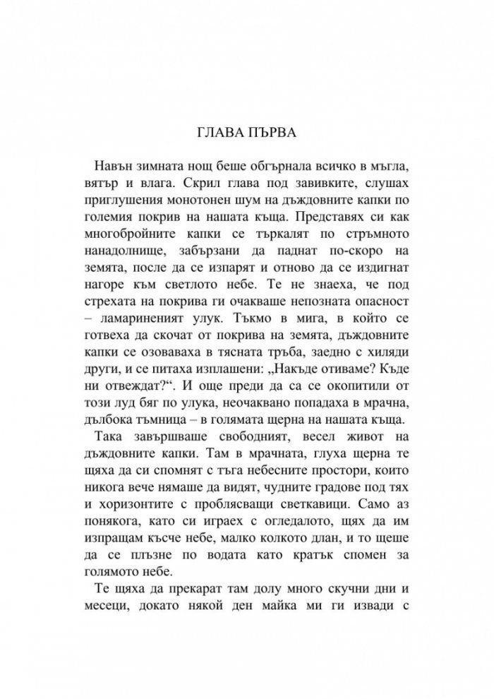 Хроника на камък