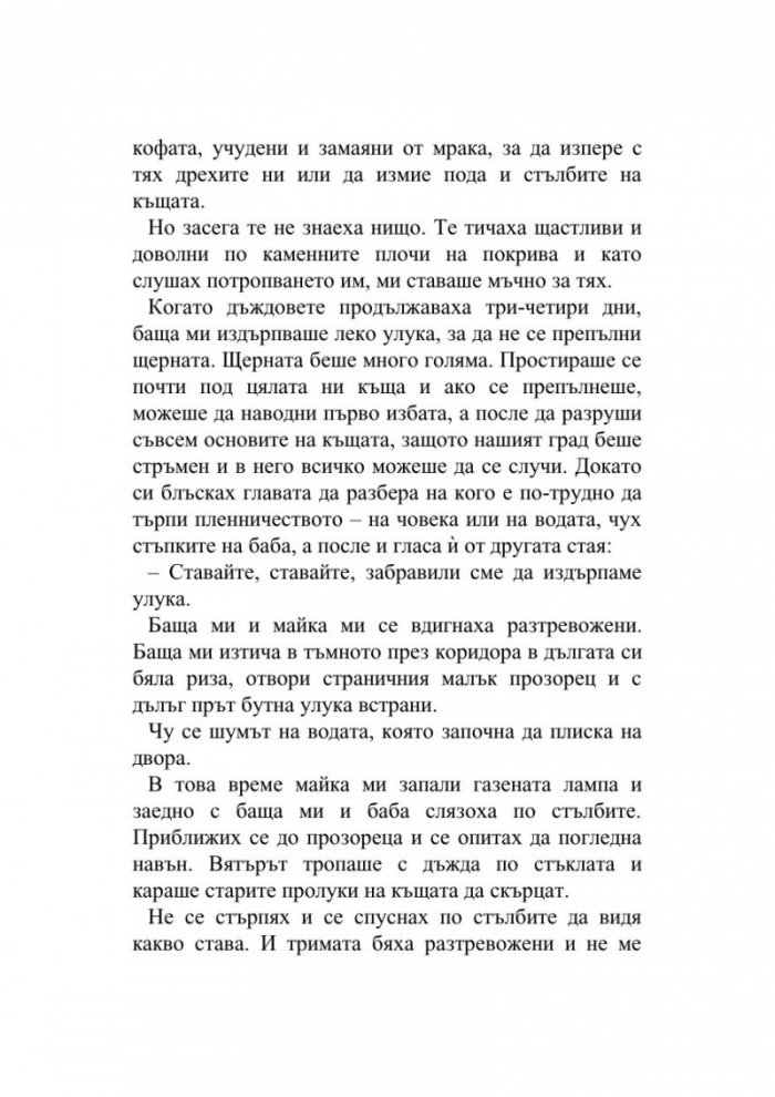 Хроника на камък