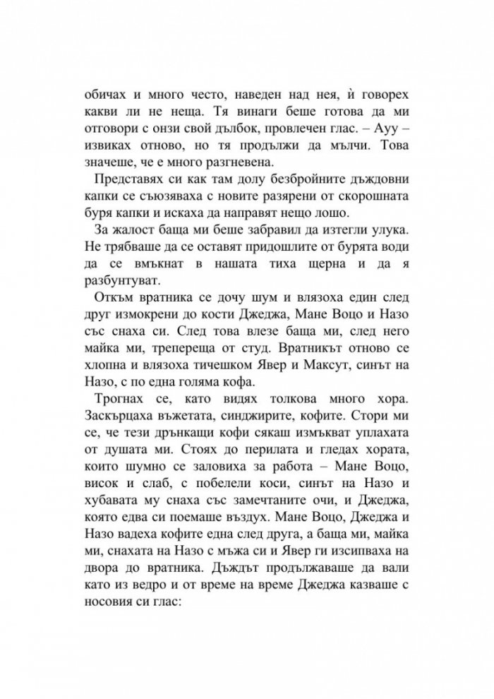 Хроника на камък