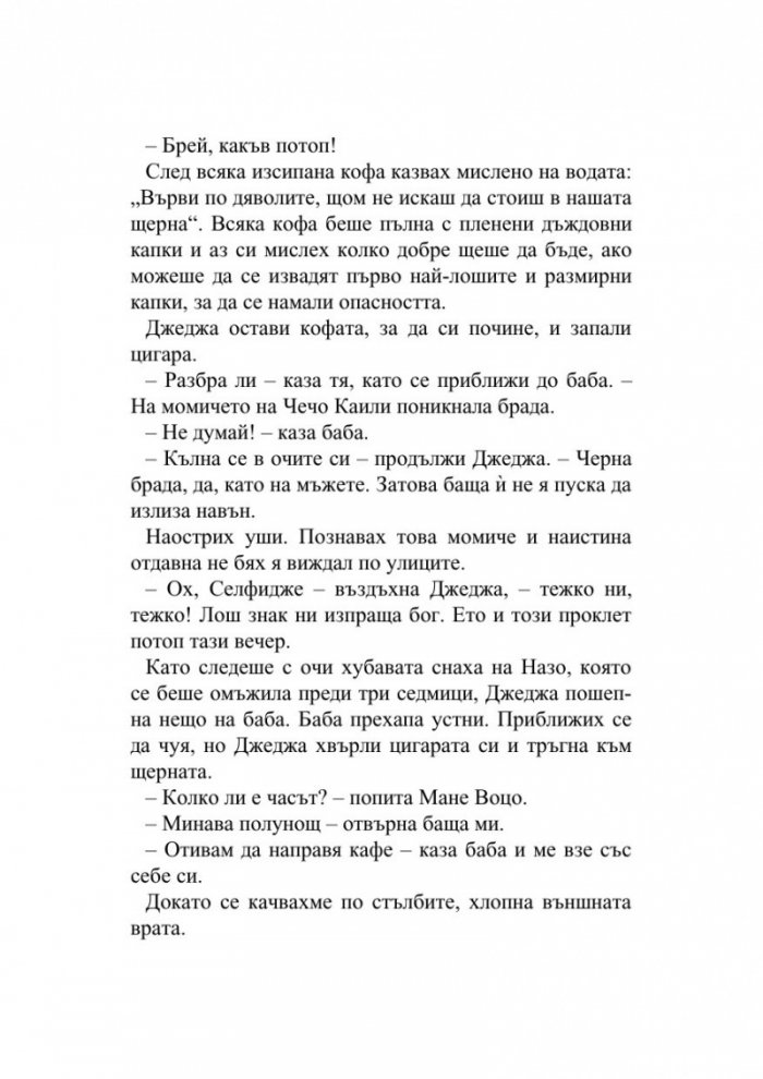 Хроника на камък