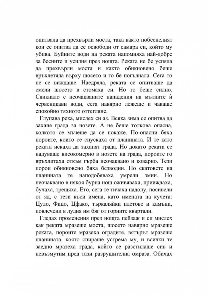 Хроника на камък