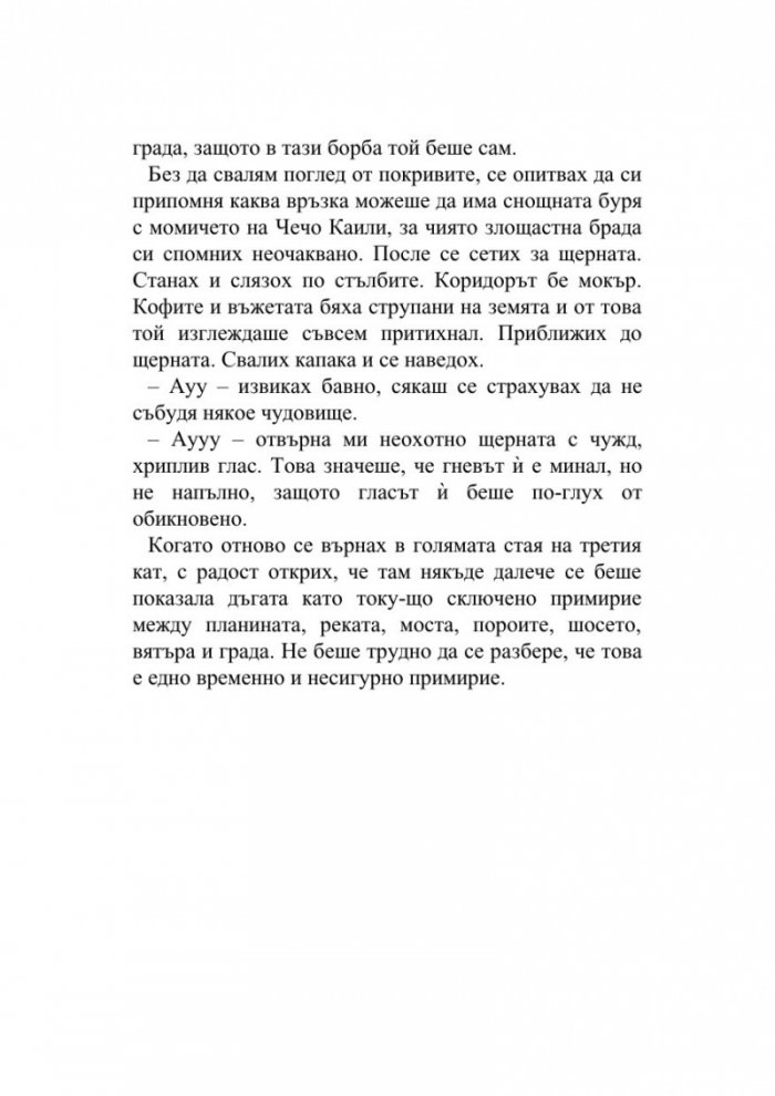 Хроника на камък