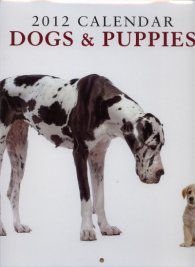 Calendar 2012: Dogs & Puppies