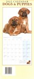 Calendar 2012: Dogs & Puppies