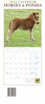 Calendar 2012: Horses & Ponies