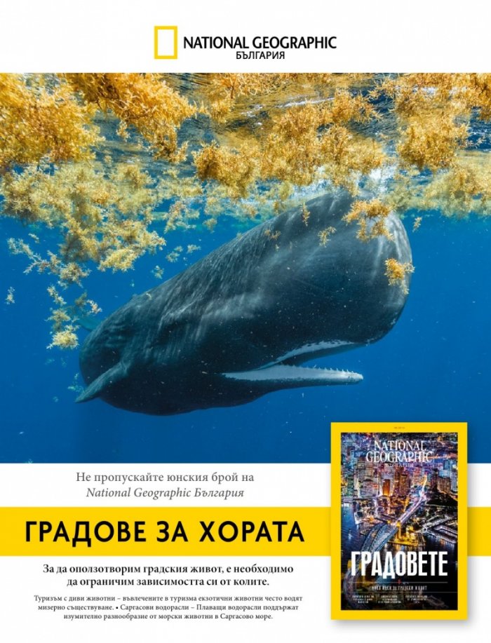 National Geographic KIDS България 6/2019