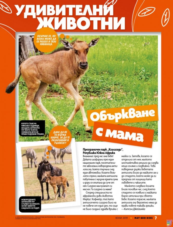 National Geographic KIDS България 6/2019