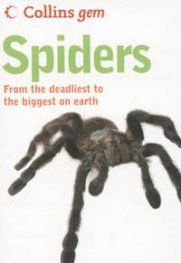 Gem: Spiders