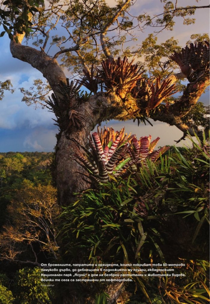National Geographic 1/2013