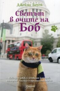 Светът в очите на Боб