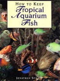How to Keep Tropical Aquarium Fish