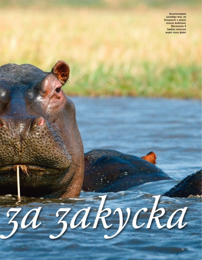 Story; Бр. 31/2012