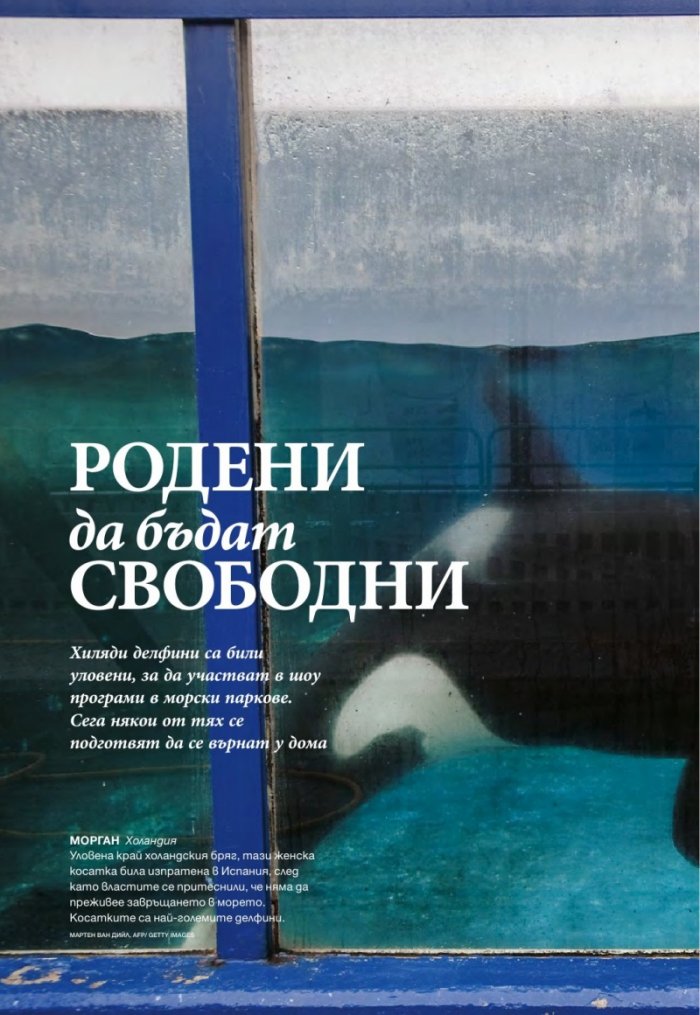 National Geographic България 6/2015