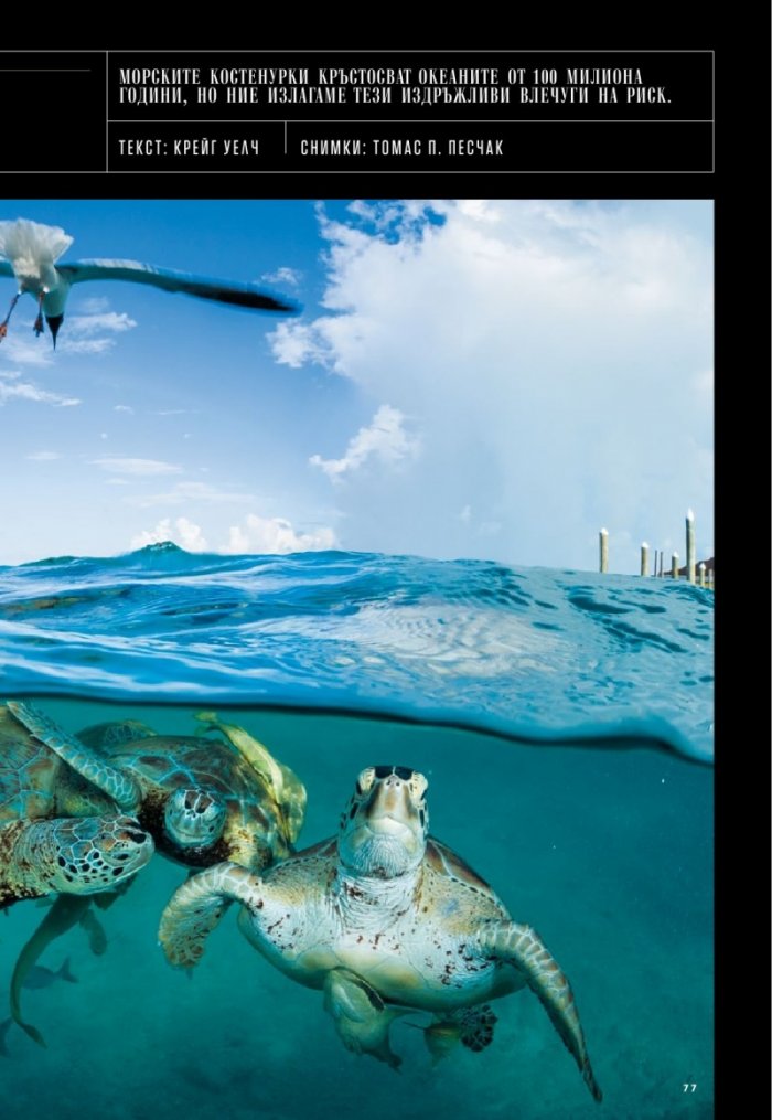 National Geographic България 10/2019