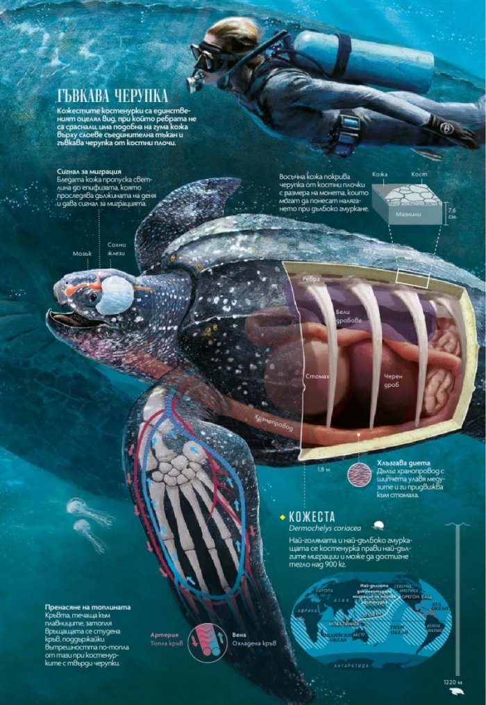 National Geographic България 10/2019
