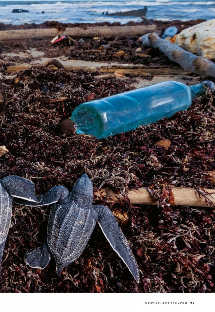 National Geographic България 10/2019