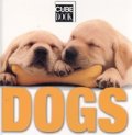 Dogs/ Mini Cube Book
