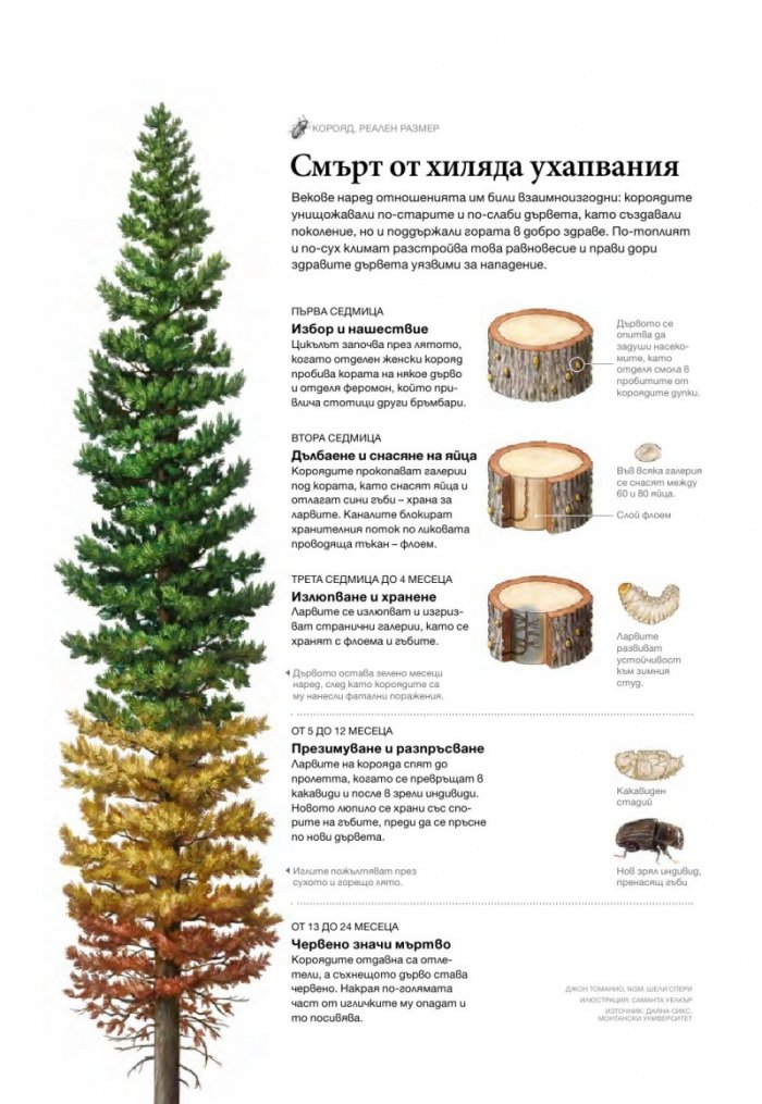 National Geographic България 4/2015
