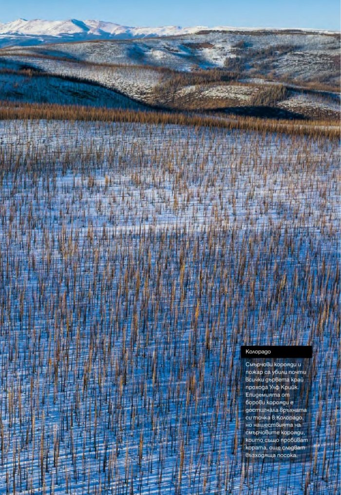 National Geographic България 4/2015