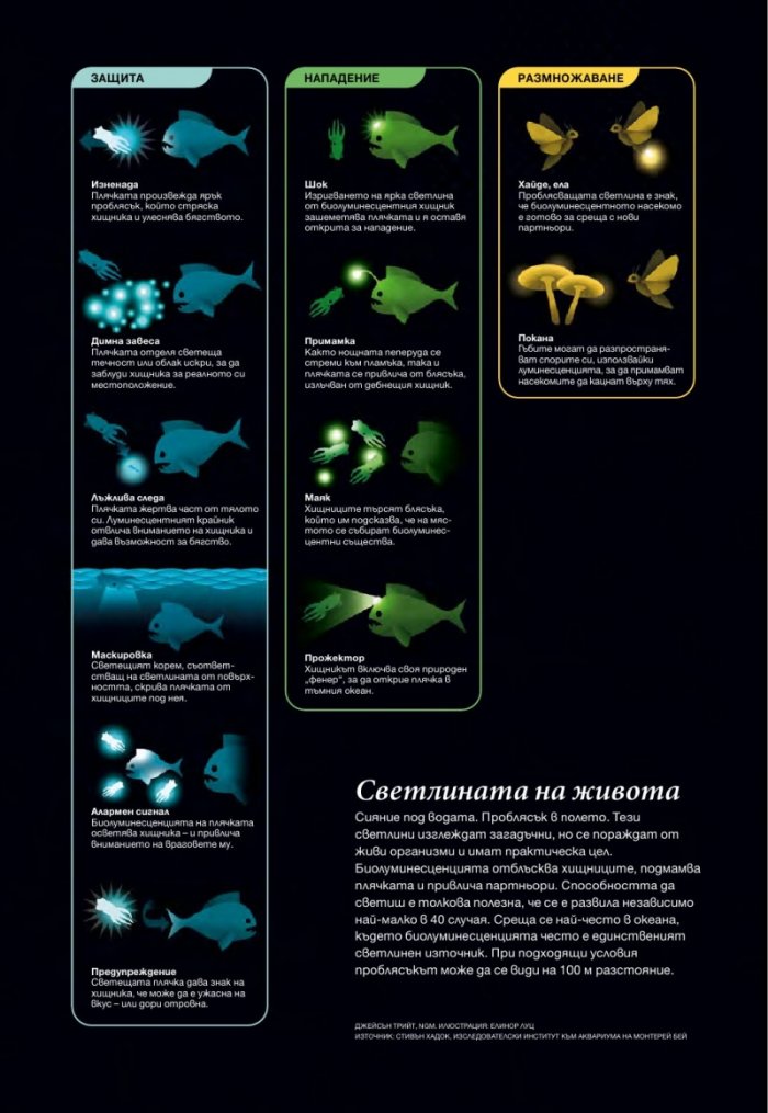 National Geographic България 4/2015