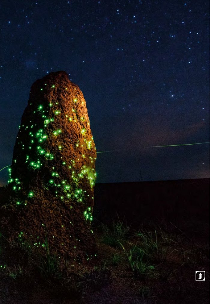 National Geographic България 4/2015