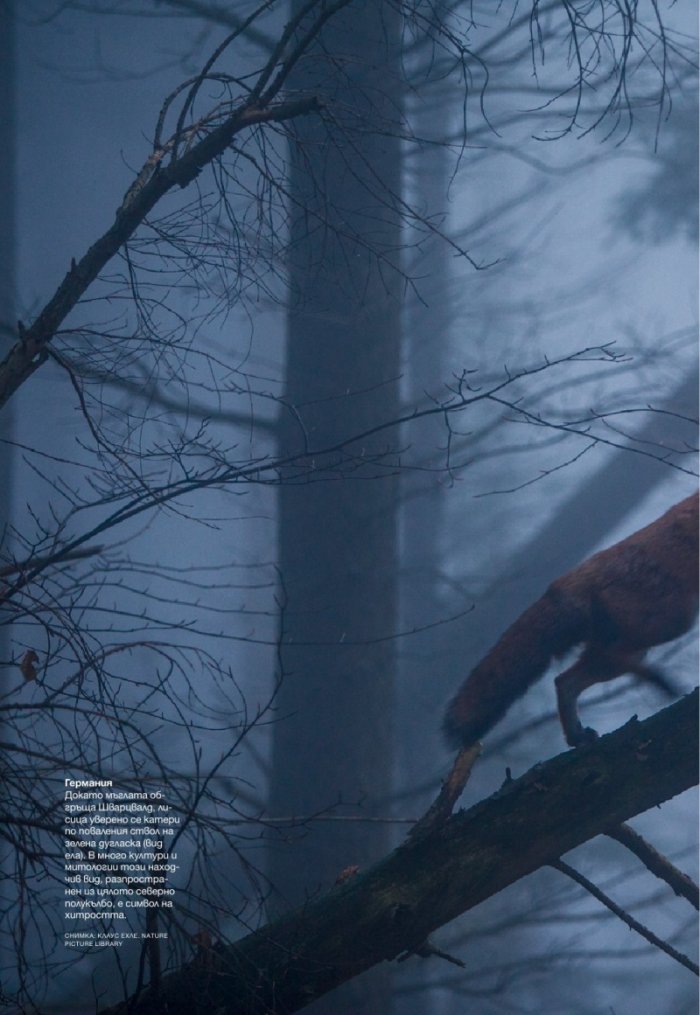 National Geographic България 10/2016