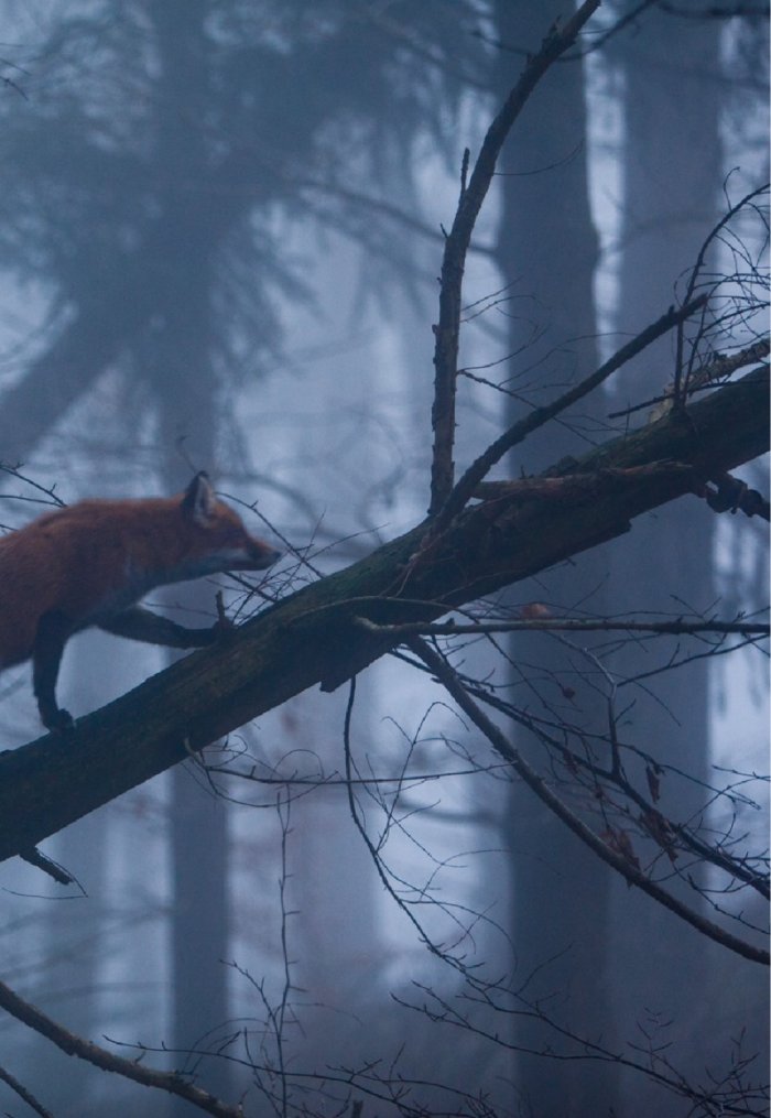 National Geographic България 10/2016