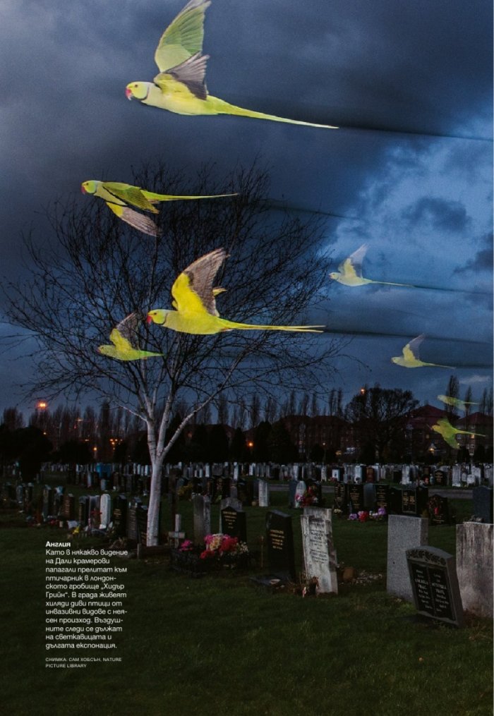 National Geographic България 10/2016