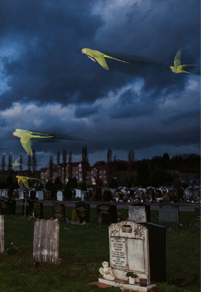 National Geographic България 10/2016
