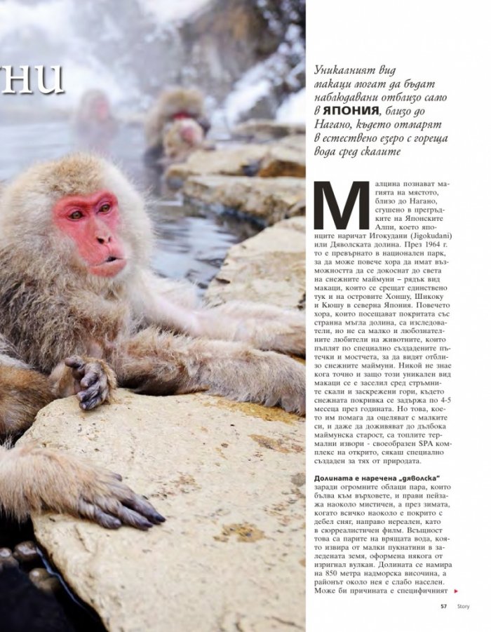 Story; Бр. 48/2014