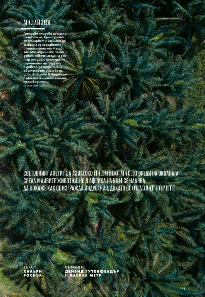 National Geographic България 11/2019